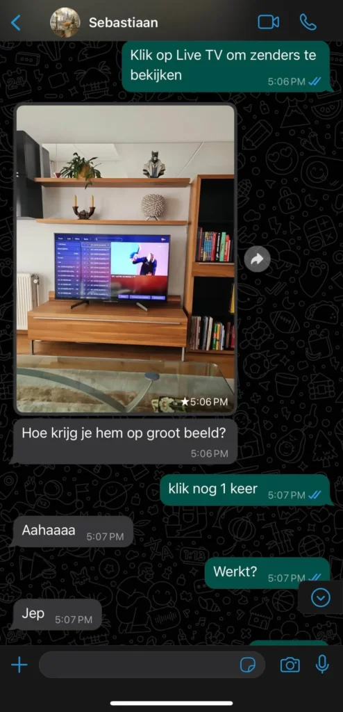 IMG_4081-scaled-1-494x1024